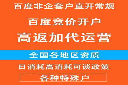 行业领先的SEM竞价广告投放案例